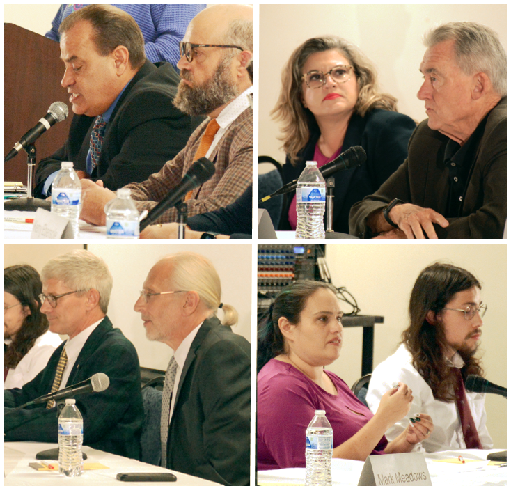 EL Council Candidates Try to Distinguish Themselves in Crowded Field at Public Forum
