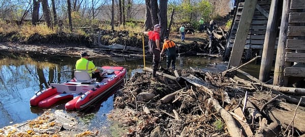 Michigan Waterways Stewards: Meet the New Coalition Conserving Local Waters